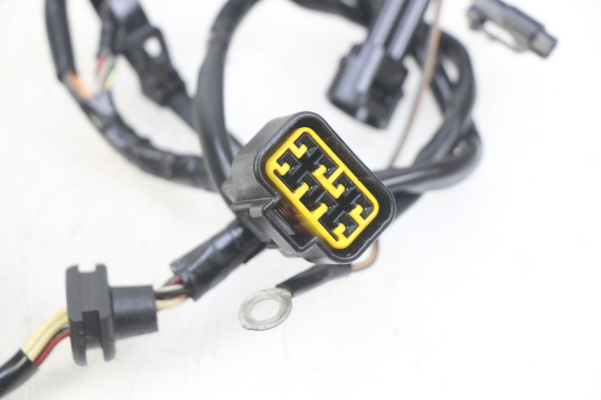 photo de STATORE KAWASAKI KX 85 (2014 - 2021)