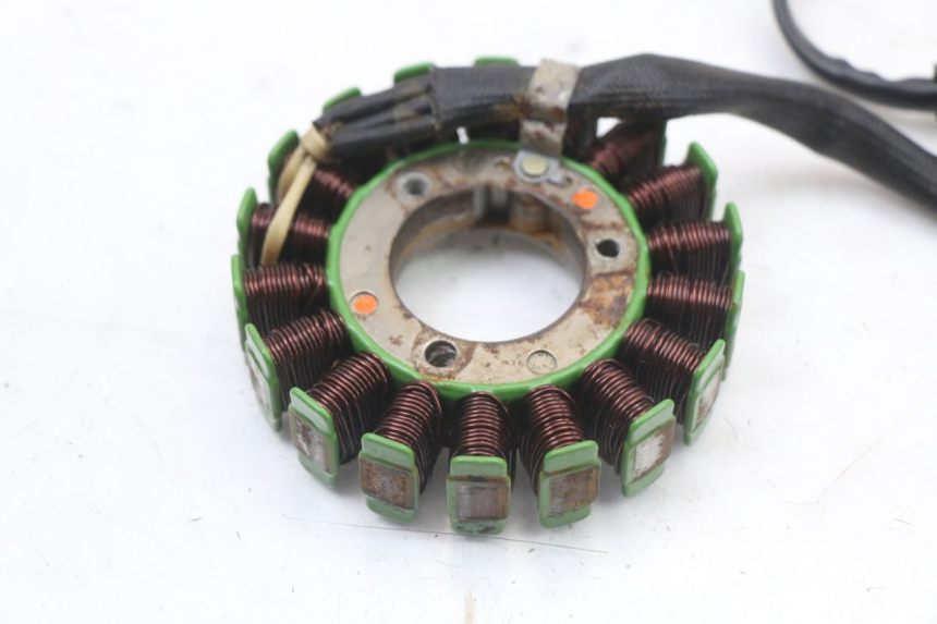 photo de STATOR REGAL RAPTOR RAXTER 2 125 (2007 - 2015) - Zoom sullo stato d'uso