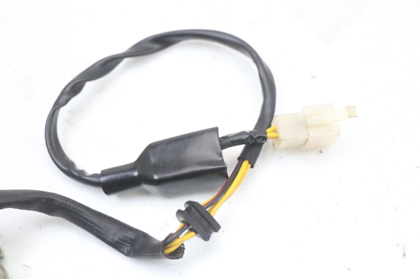 photo de STATOR REGAL RAPTOR RAXTER 2 125 (2007 - 2015) - Vista d'insieme del prodotto