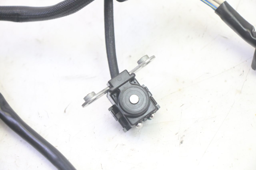 photo de STATORE YAMAHA TDM ABS 900 (2002 - 2014) - Primo piano tecnico