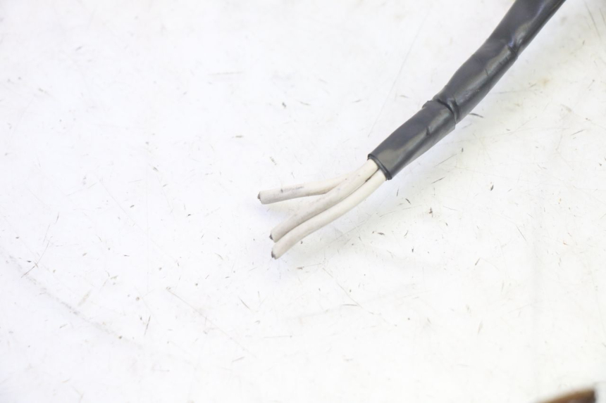 photo de STATORE YAMAHA TDM ABS 900 (2002 - 2014) - Vista d'insieme del prodotto