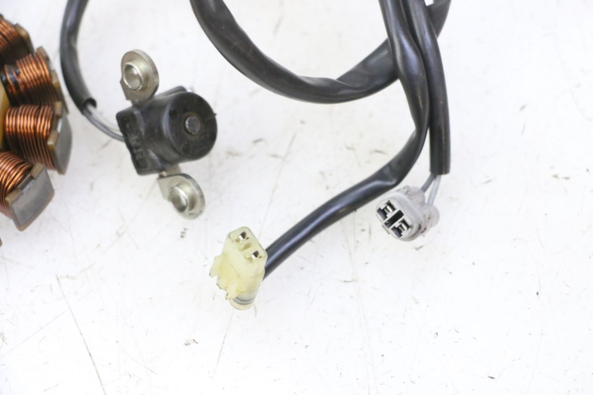 photo de STATORE YAMAHA YZ-F YZF 250 (2014 - 2018)