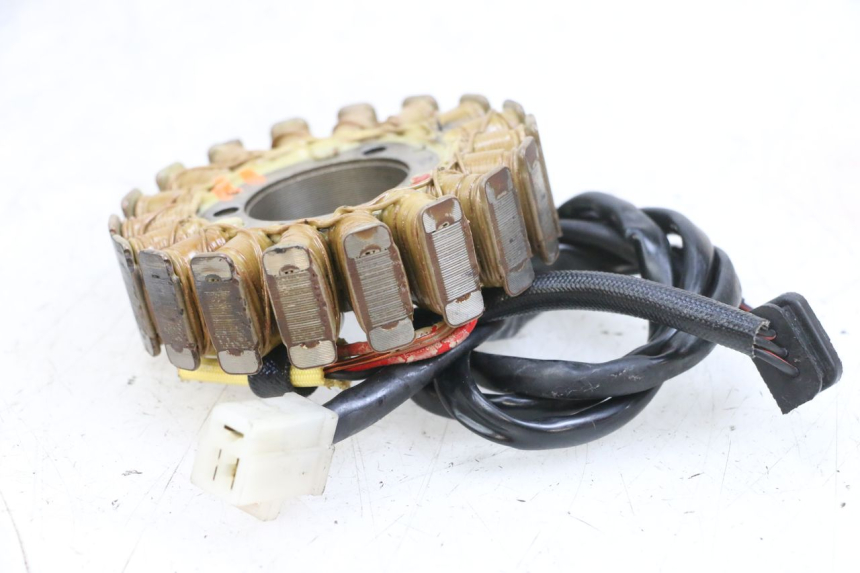 photo de STATORE KAWASAKI ZR 7 750 (1999 - 2001) - Primo piano tecnico