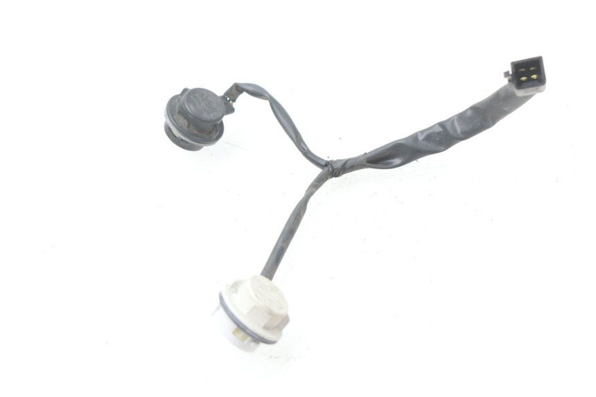 photo de SUPPORTO LAMPADINA HONDA FES PANTHEON 125 (2003 - 2007)