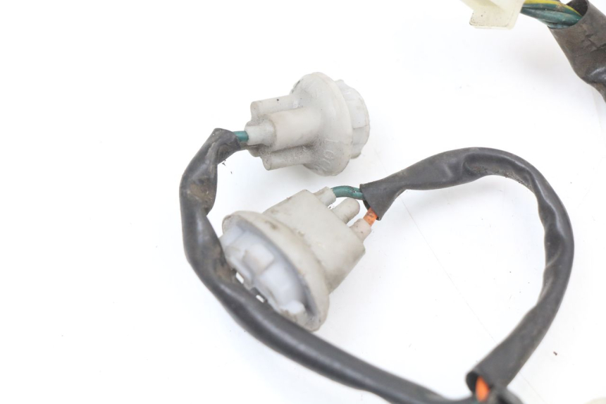 photo de PORTALAMPADA HONDA SH ABS 125 (2012 - 2017)