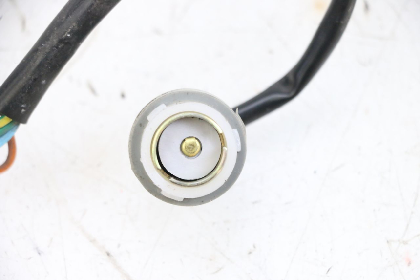 photo de PORTALAMPADA SYM ORBIT III 3 4T 50 (2018 - 2021) - Primo piano tecnico