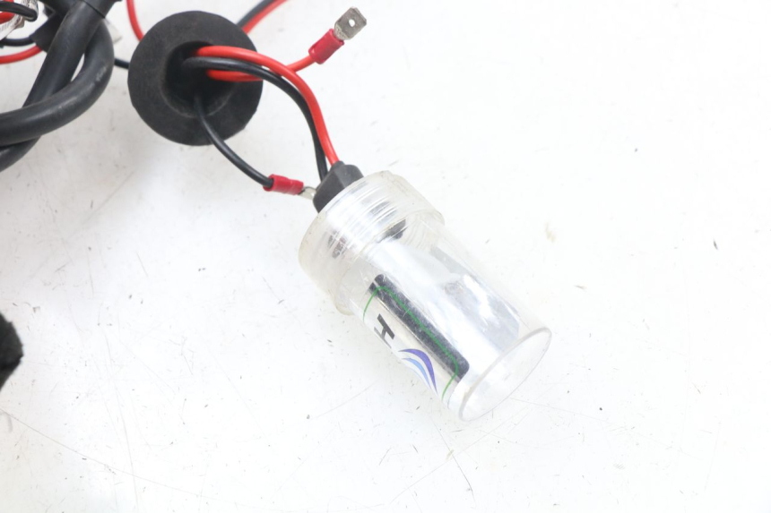 photo de SUPPORTO LAMPADINA DAELIM S2 125 (2006 - 2007)