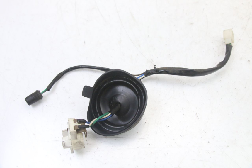 photo de SUPPORTO LAMPADA TNT MOTOR ROMA 10' 2T 50 (2011 - 2018)