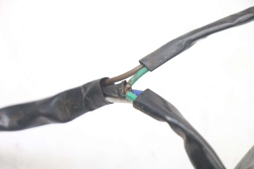 photo de SUPPORTO LAMPADA TNT MOTOR ROMA 10' 2T 50 (2011 - 2018)