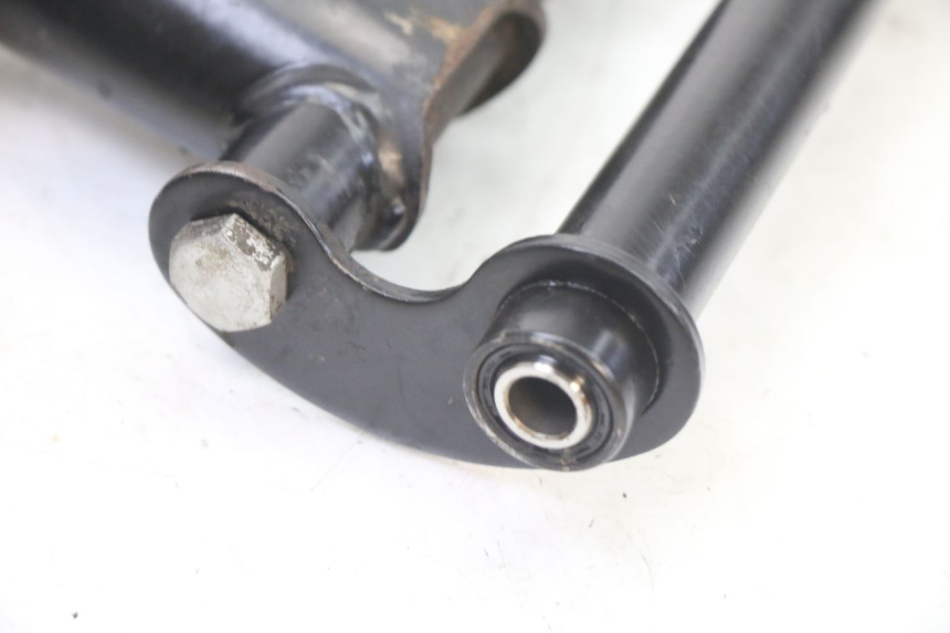 photo de SUPPORTO MOTORE PIAGGIO ZIP 4T 50 (2018 - 2020)