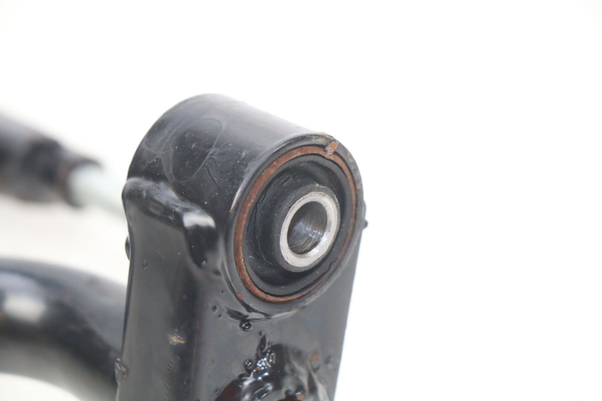 photo de SUPPORTO MOTORE SACHS FY125T FY T 125 (2007 - 2011)