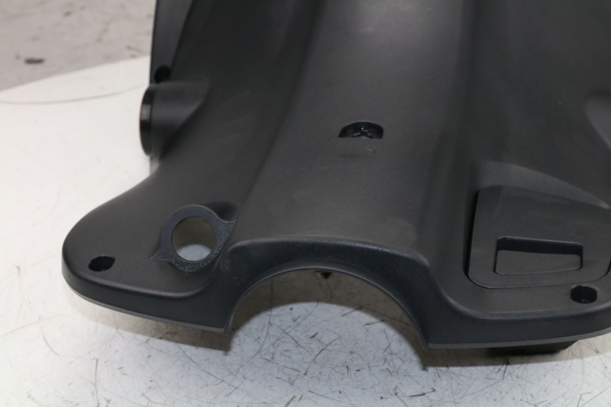 photo de FASCIA INTERNA DAELIM S4 50 (2010 - 2015)