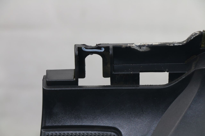 photo de FASCIA INTERNA DAELIM S4 50 (2010 - 2015)