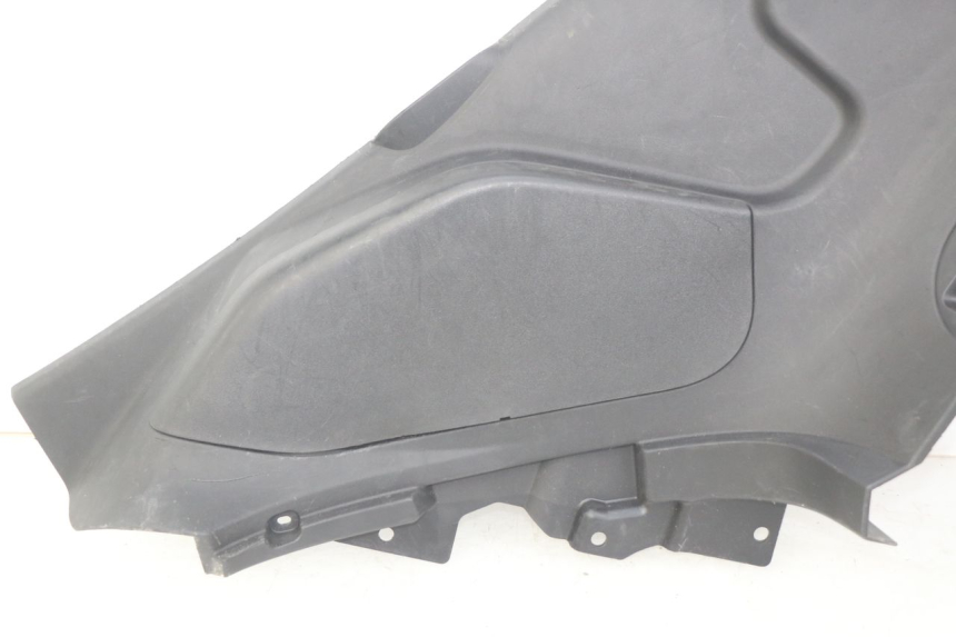 photo de PANNELLO INTERNO DESTRO RENAULT TWIZY 45 (2012 - 2019)