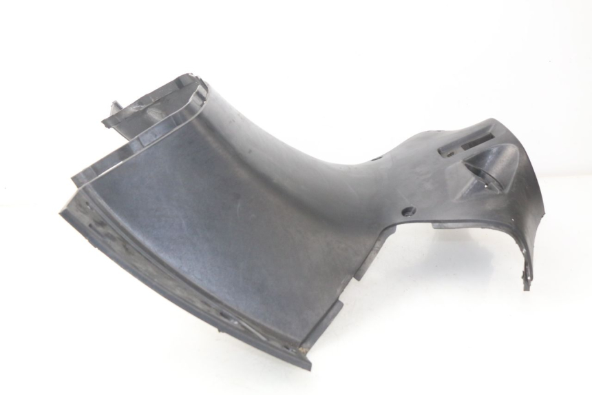 photo de FASCIA INTERNA ERIDER CARGO 1 (2009 - 2018)