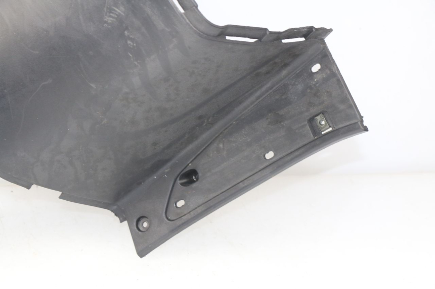 photo de FASCIA INTERNA ERIDER CARGO 1 (2009 - 2018)