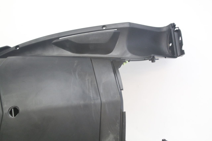 photo de RETROSCUDO PEUGEOT GEOPOLIS RS 125 (2007 - 2009)