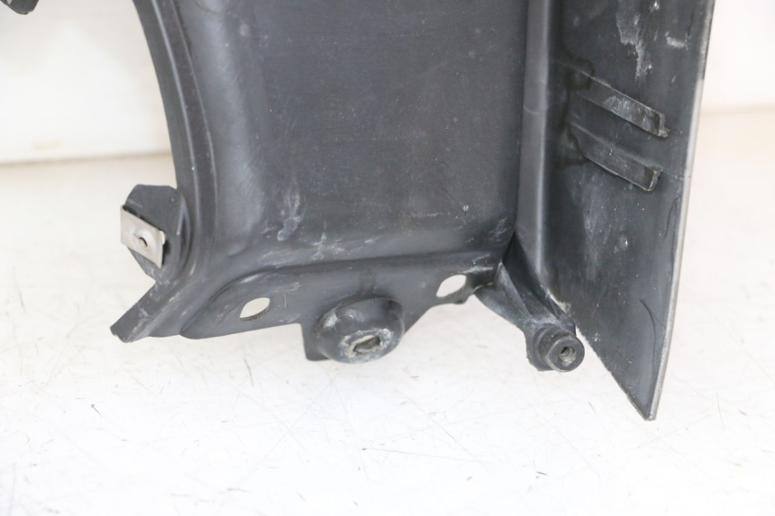 photo de RETROSCUDO PIAGGIO MP3 RL 250 (2007 - 2010)