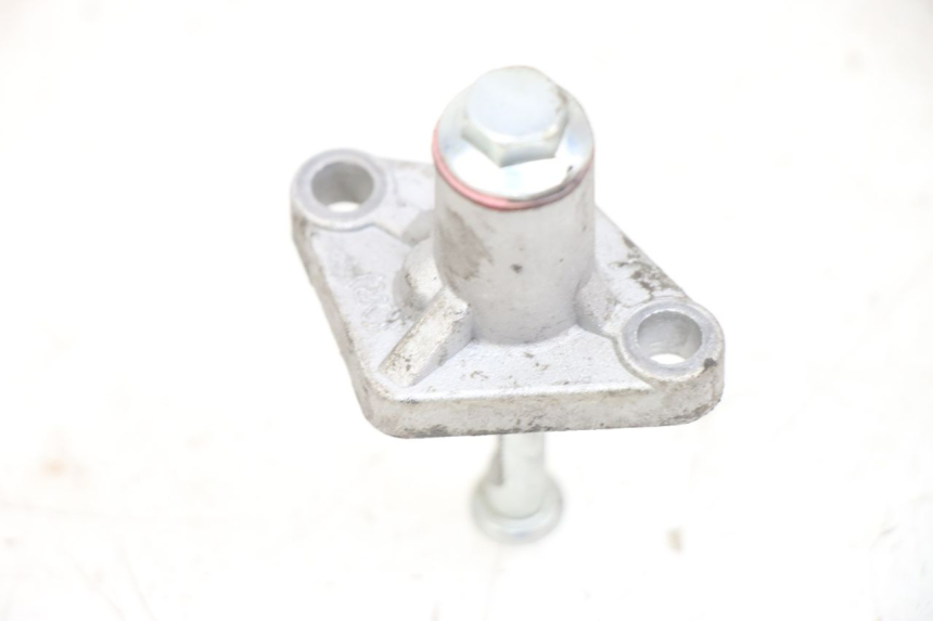 photo de TENDICATENA DISTRIBUTORE JM MOTORS EVOLIS 4T 50 (2018 - 2022)
