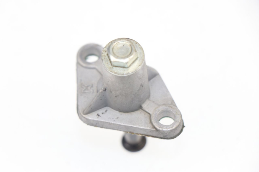 photo de TENDICATENA DISTRIBUTORE PEUGEOT KISBEE 4T 50 (2010 - 2017)