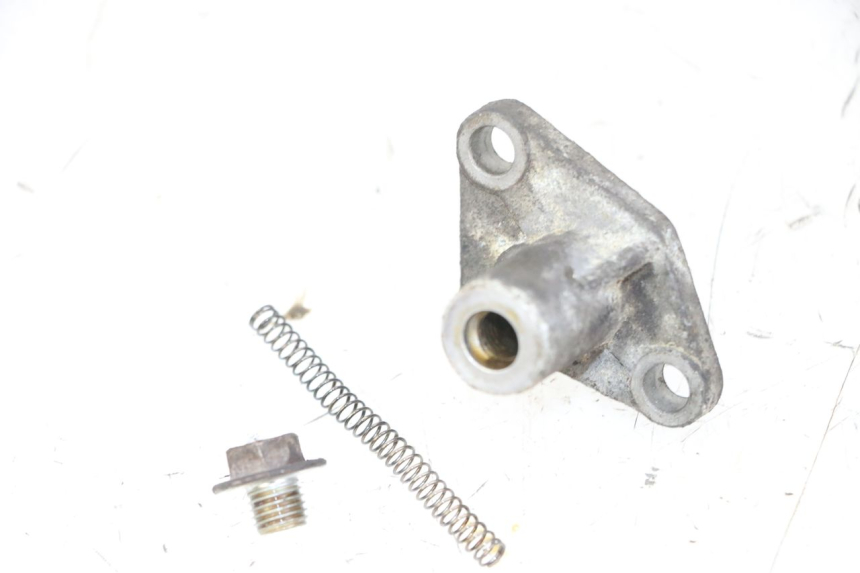 photo de TENDICATENA DISTRIBUTORE PIAGGIO MP3 125 (2006 - 2014)