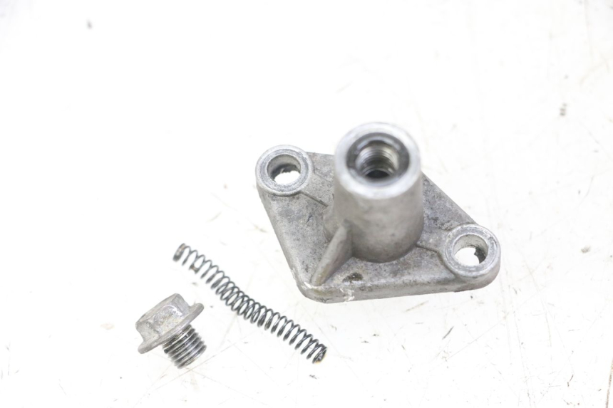 photo de TENDITORE CATENA DI DISTRIBUZIONE PEUGEOT SATELIS 125 (2013 - 2018)