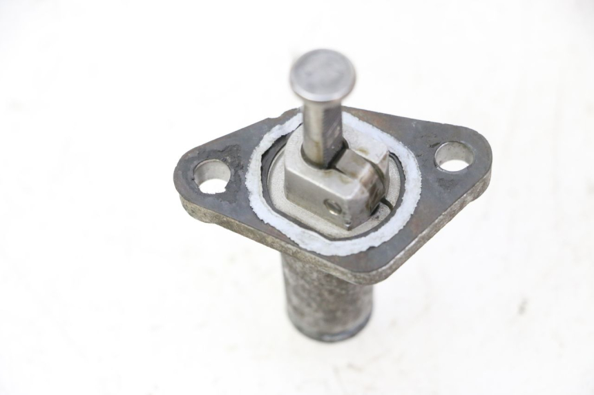 photo de TENDICATENA DI DISTRIBUZIONE YAMAHA X-MAX XMAX 250 (2006 - 2009)