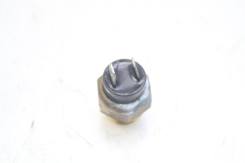 photo de TERMOCONTATTO PEUGEOT GEOPOLIS RS 125 (2007 - 2009)