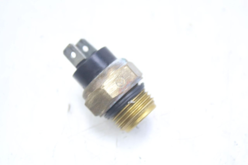 photo de TERMOCONTATTO PEUGEOT GEOPOLIS RS 125 (2007 - 2009)