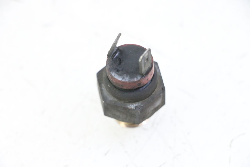 photo de Termostato PIAGGIO X8 125 (2004 - 2007)