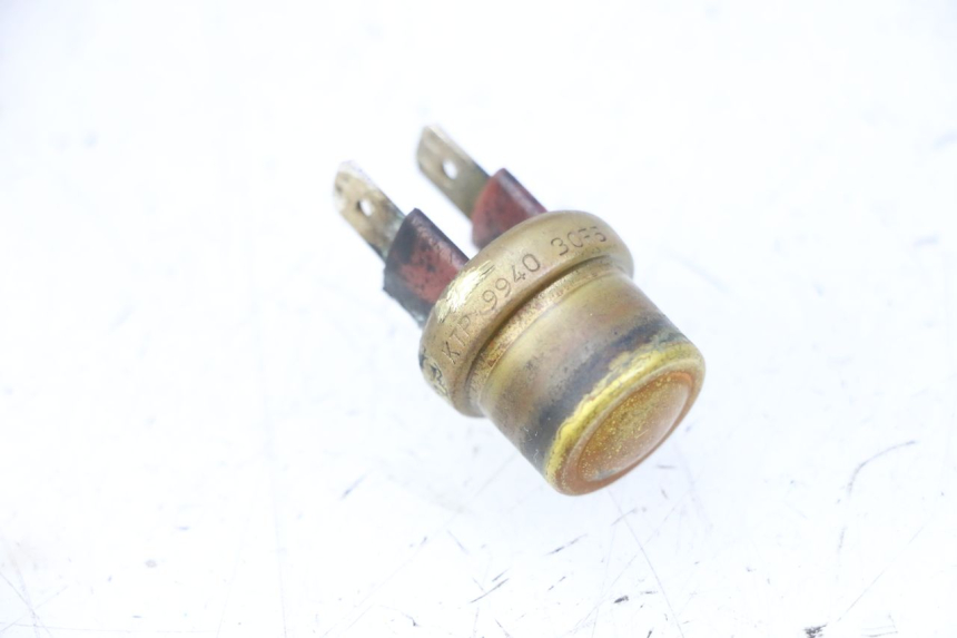 photo de TERMOCONTATTO TRIUMPH SPRINT 900 (1995 - 1998)