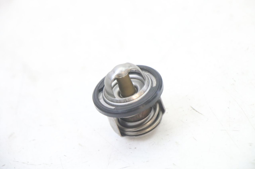 photo de Termostato APRILIA ATLANTIC 125 (2003 - 2009)
