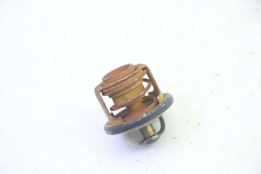 photo de THERMOSTAT PIAGGIO MP3 RL 250 (2006 - 2010) - Dettaglio del componente