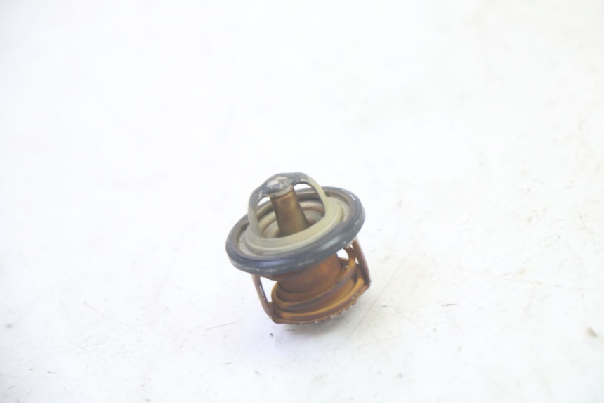 photo de THERMOSTAT PIAGGIO MP3 RL 250 (2006 - 2010) - Zoom sullo stato d'uso