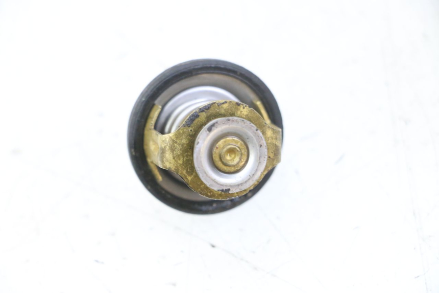 photo de THERMOSTAT PIAGGIO X8 125 (2004 - 2007)