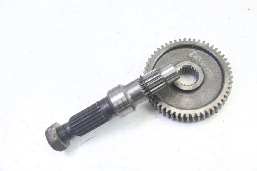 photo de TRASMISSIONE RUOTA KYMCO AGILITY NAKED RENOUVO 2T 50 (2011 - 2018)