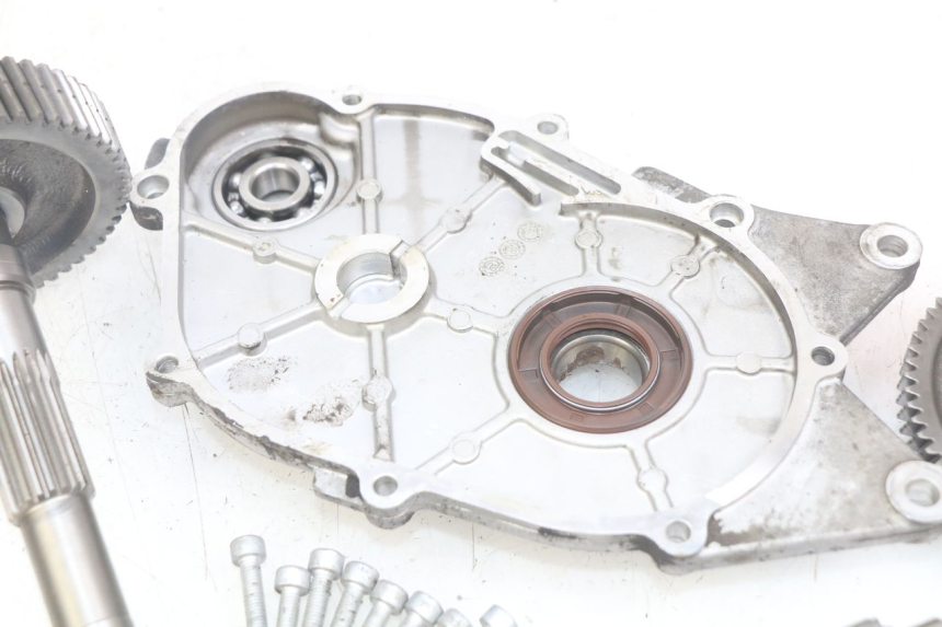 photo de TRASMISSIONE RUOTA APRILIA SCARABEO LIGHT 125 (2007 - 2011)