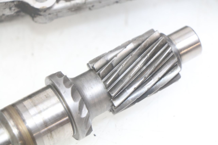 photo de TRASMISSIONE RUOTA APRILIA SCARABEO LIGHT 125 (2007 - 2011)