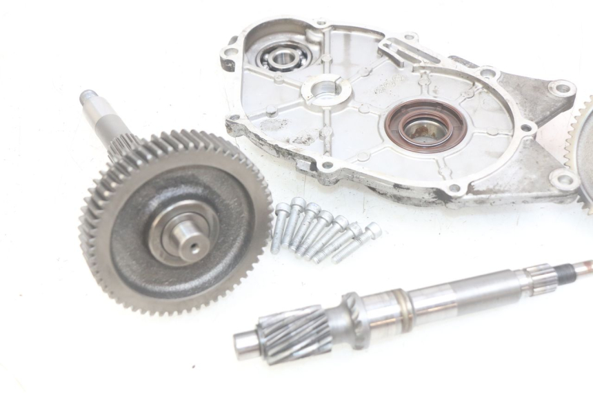 photo de TRASMISSIONE RUOTA APRILIA SCARABEO LIGHT 125 (2007 - 2011)