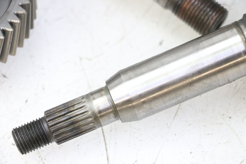 photo de TRASMISSIONE RUOTA SUZUKI BURGMAN 125 (2007 - 2014)