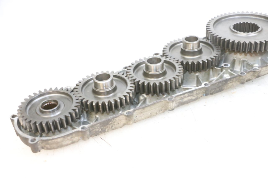 photo de INGRANAGGIO  SUZUKI BURGMAN 650 (2013 - 2020)