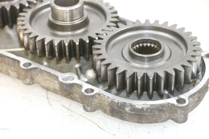 photo de INGRANAGGIO  SUZUKI BURGMAN 650 (2013 - 2020)