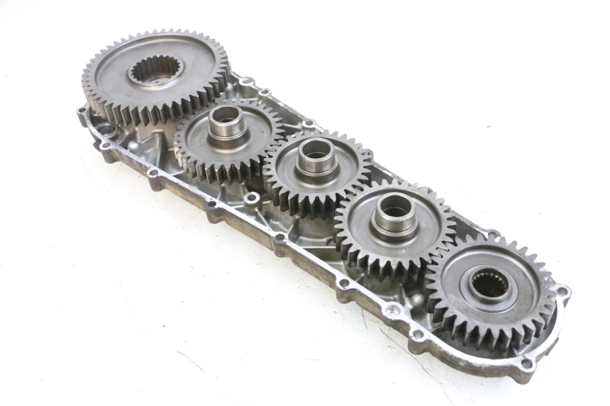 photo de INGRANAGGIO  SUZUKI BURGMAN 650 (2013 - 2020)