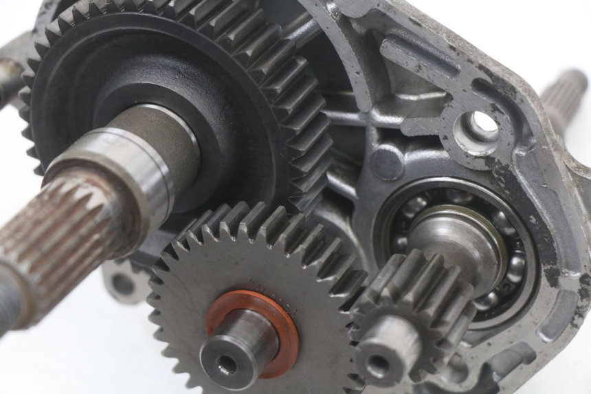 photo de TRASMISSIONE RUOTA PEUGEOT BUXY 50 (1993 - 1998)