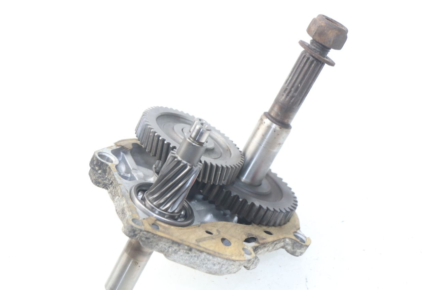 photo de TRASMISSIONE RUOTA YAMAHA BW'S 50 (1999 - 2003)