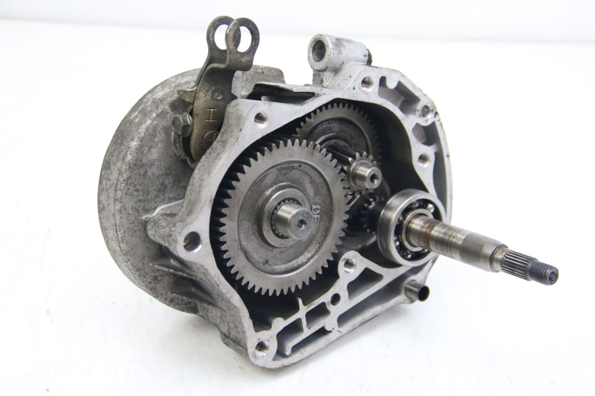 photo de TRASMISSIONE RUOTA LONGJIA DIGITA 4T 50 (2019 - 2022)