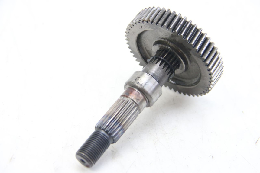 photo de TRASMISSIONE RUOTA LONGJIA DIGITA 4T 50 (2019 - 2022)