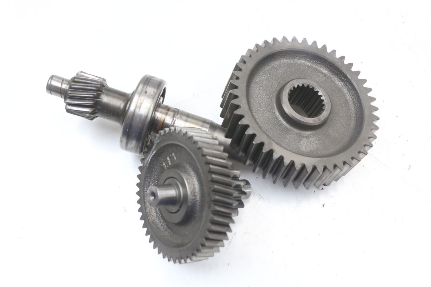 photo de INGRANAGGIO  LONGJIA EASY MAX 125 (2020 - 2024)