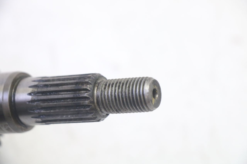 photo de INGRANAGGIO  PEUGEOT ELYSTAR 50 (2002 - 2014)