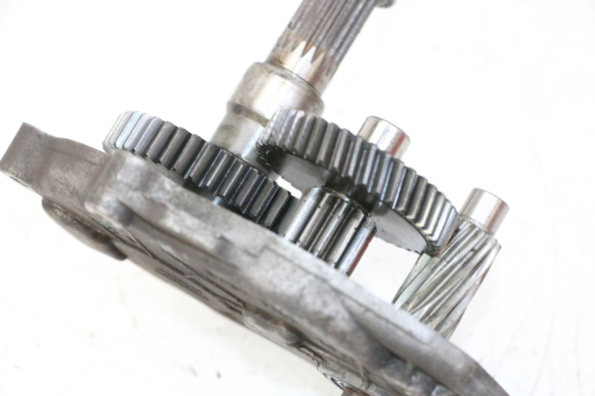 photo de INGRANAGGIO  PEUGEOT ELYSTAR 50 (2002 - 2014)